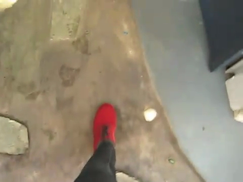 269.jpg