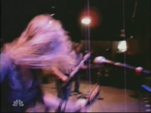 taylorweb0412.JPG